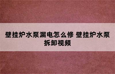 壁挂炉水泵漏电怎么修 壁挂炉水泵拆卸视频